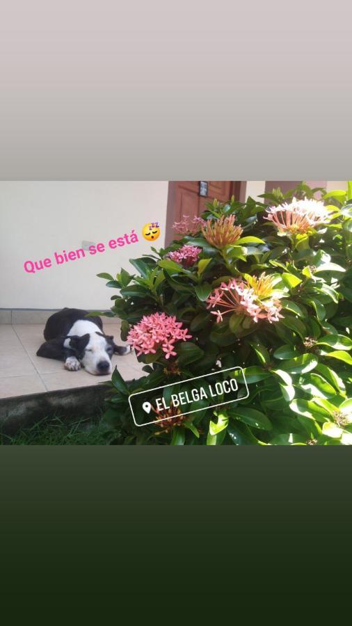El Belga Loco Hotel Las Penitas Luaran gambar