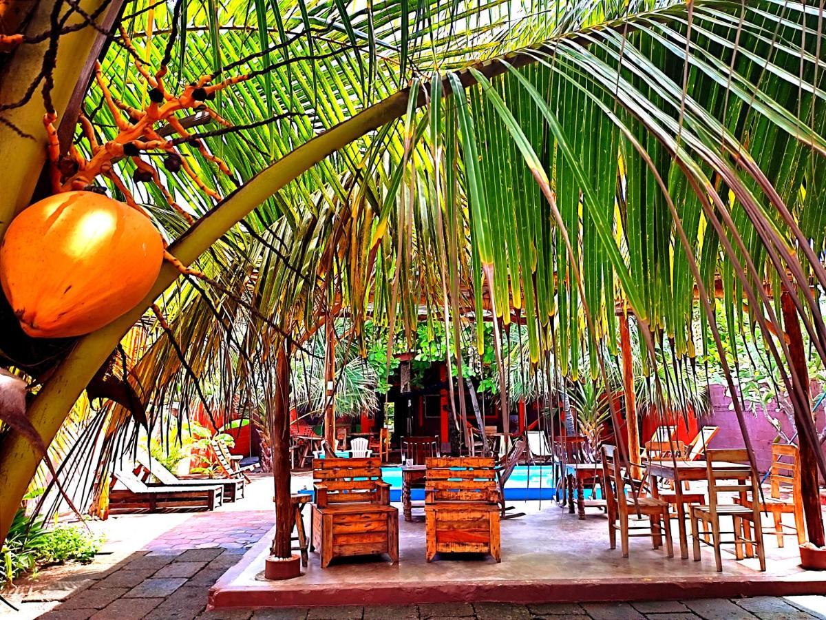 El Belga Loco Hotel Las Penitas Luaran gambar