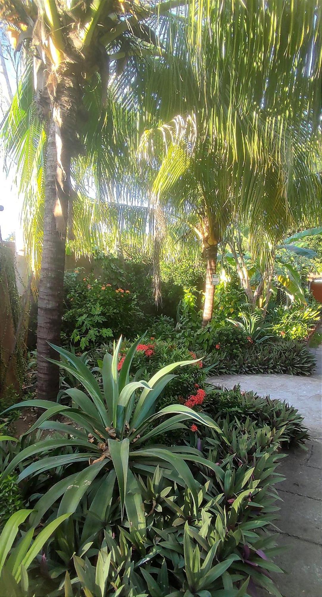 El Belga Loco Hotel Las Penitas Luaran gambar
