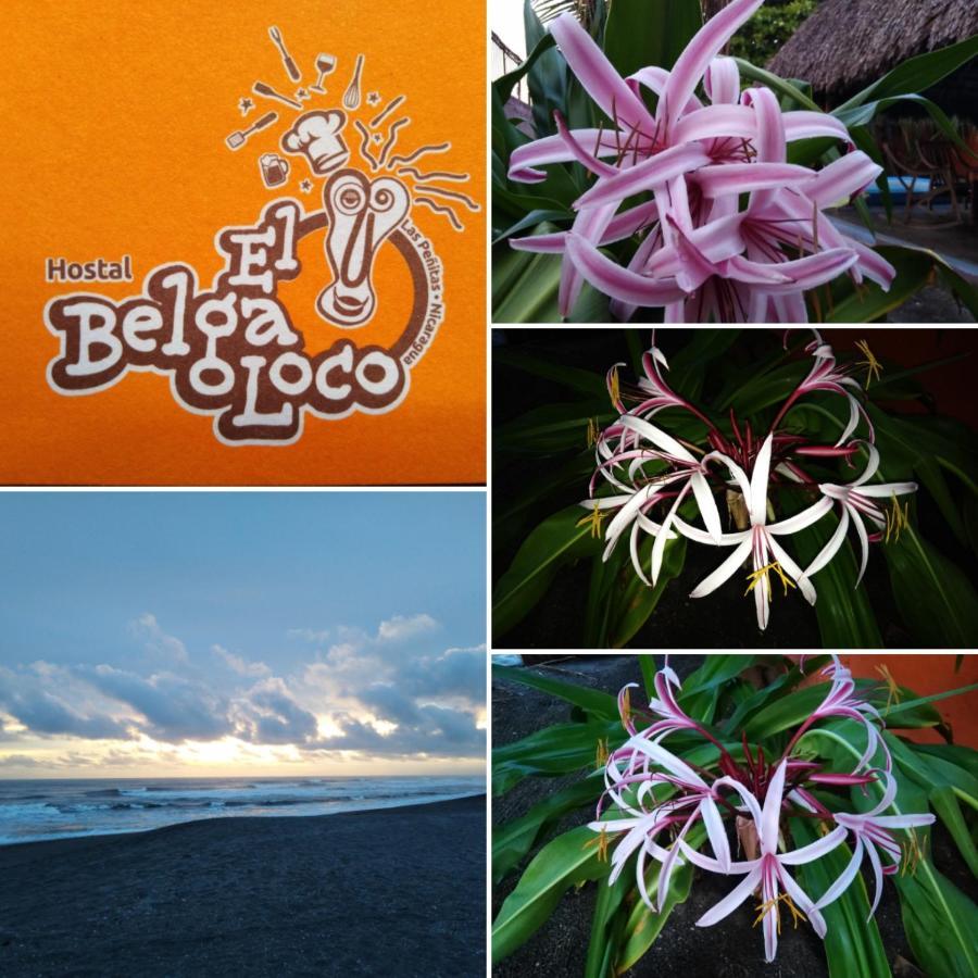 El Belga Loco Hotel Las Penitas Luaran gambar